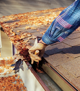 gutter cleaning 